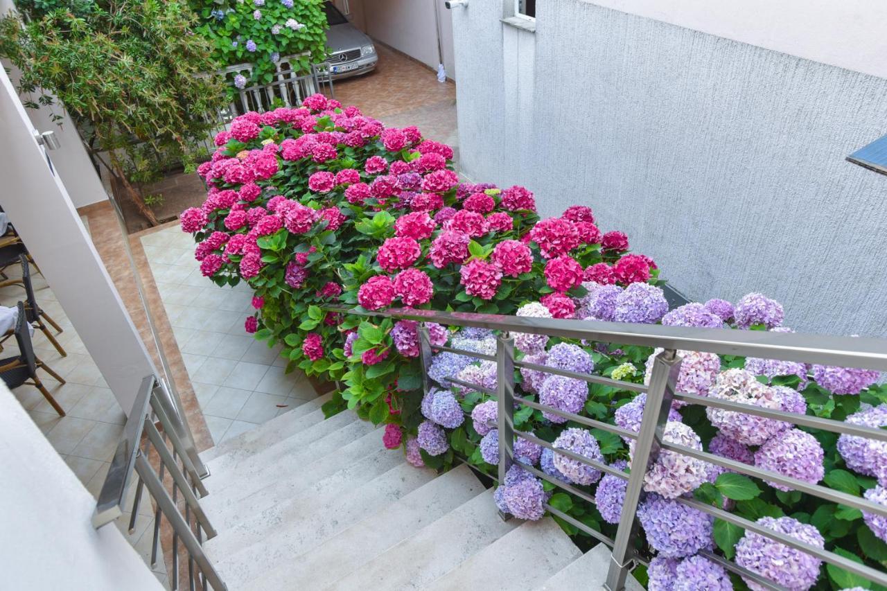 Hotel Suzana Budva Exterior foto